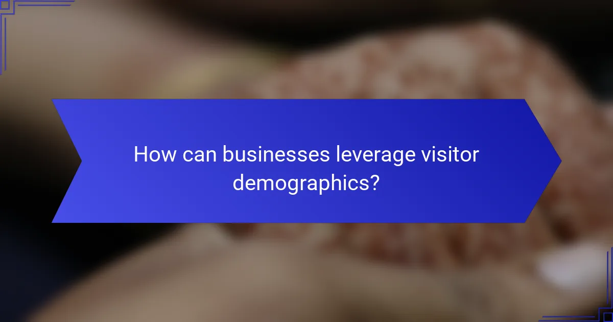 How can businesses leverage visitor demographics?