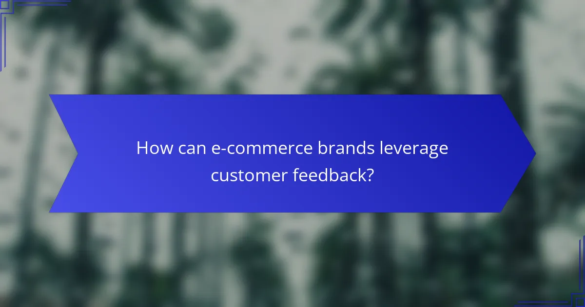 How can e-commerce brands leverage customer feedback?