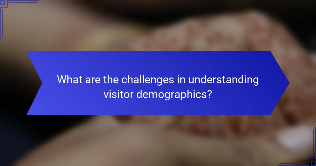 What are the challenges in understanding visitor demographics?