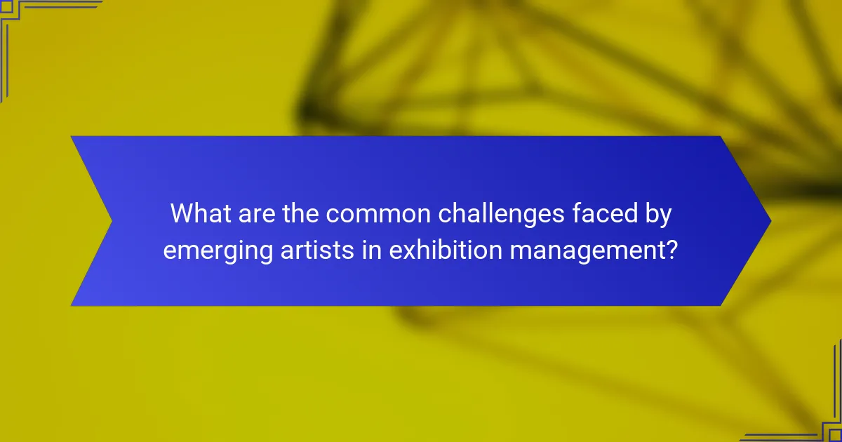 What are the common challenges faced by emerging artists in exhibition management?