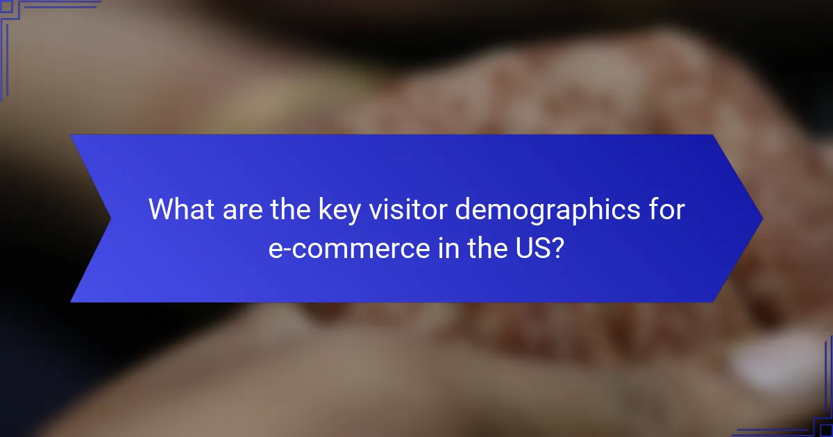 What are the key visitor demographics for e-commerce in the US?