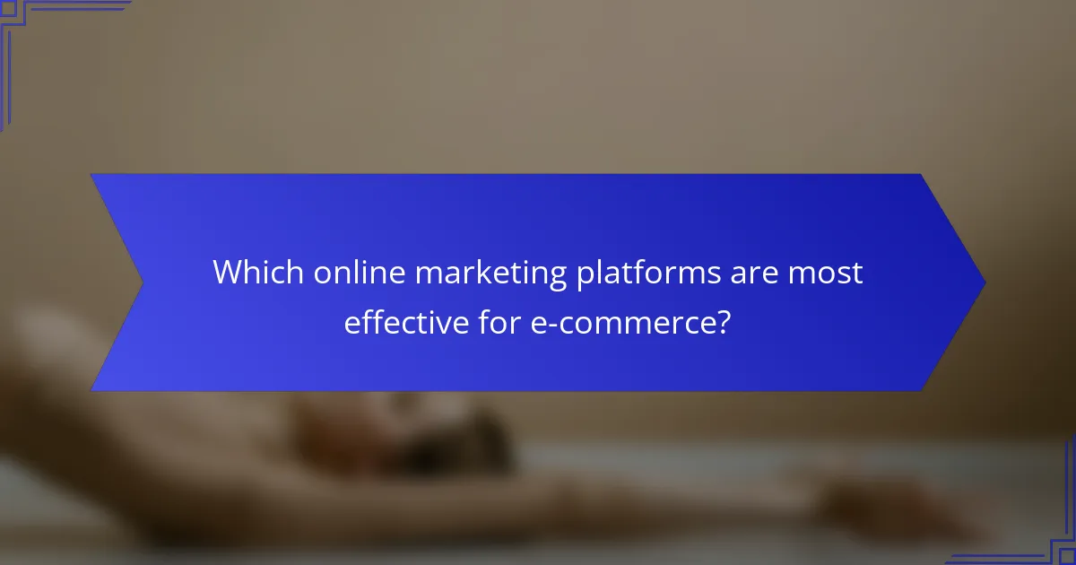 Which online marketing platforms are most effective for e-commerce?